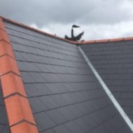 Slate Roofing London