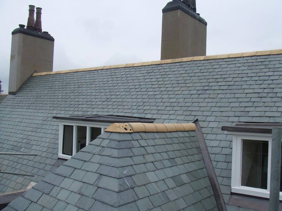 roof repairs professional